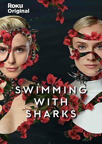 Swimming with Sharks - Season 1