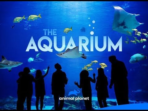 The Aquarium - Season 2