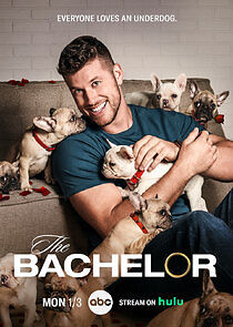 The Bachelor - Season 26