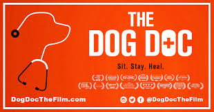 The Dog Doc