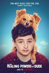 The Healing Powers of Dude - Season 1