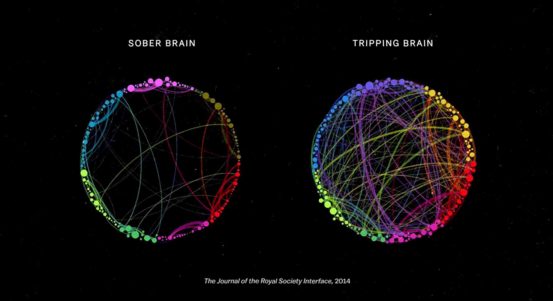 The Mind, Explained - Season 1