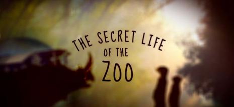 The Secret Life of the Zoo - Season 11