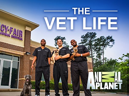 The Vet Life - Season 1