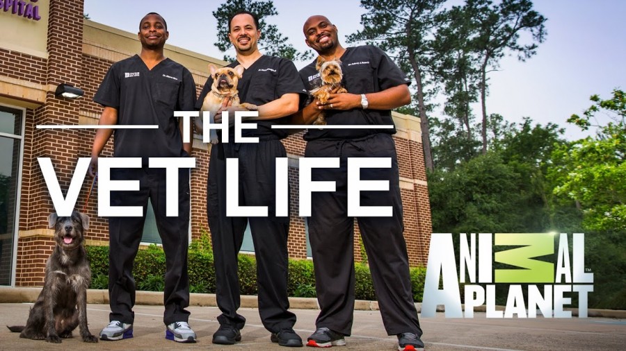 The Vet Life - Season 2