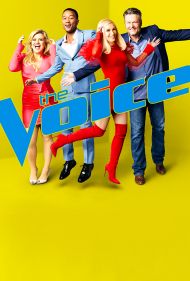 The Voice - Season 17