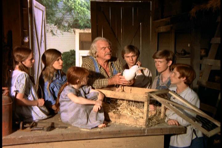 The Waltons - Season 10