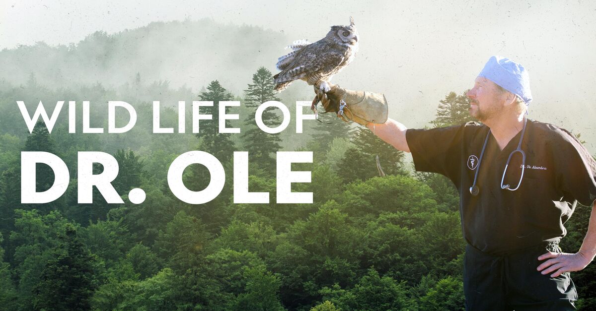 The Wild Life of Dr. Ole - Season 1