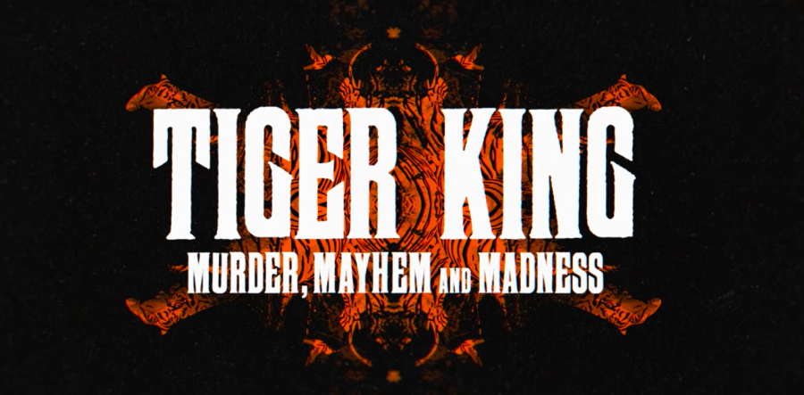 Tiger King: Murder, Mayhem and Madness - Season 1