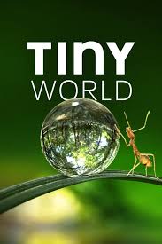 Tiny World - Season 1