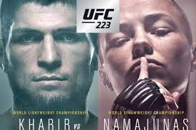 UFC 223