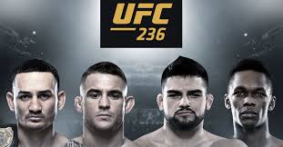 UFC 236