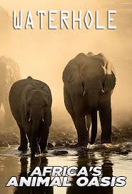 Waterhole: Africa's Animal Oasis - Season 1