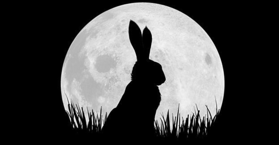 Watership Down - Season 1