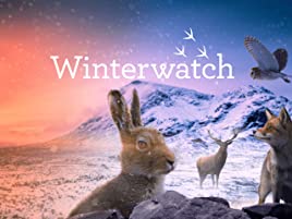 Winterwatch - Season 11