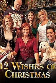 12 Wishes of Christmas (2011)