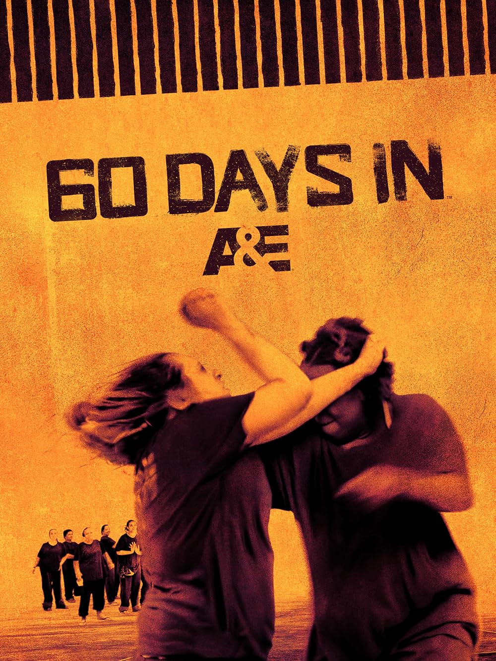 60 Days In (2016)