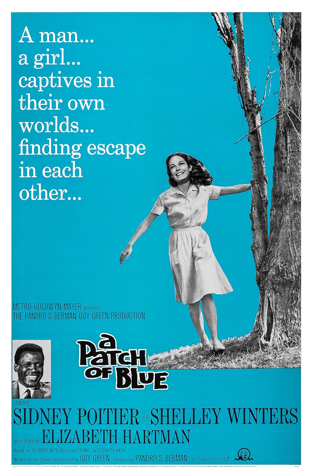 A Patch of Blue (1965)