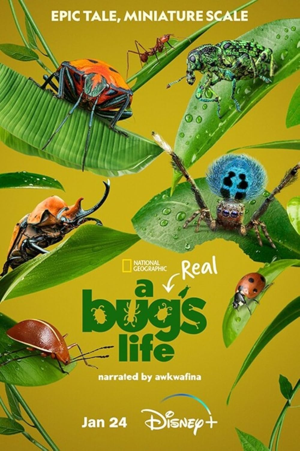 A Real Bug's Life (2024)