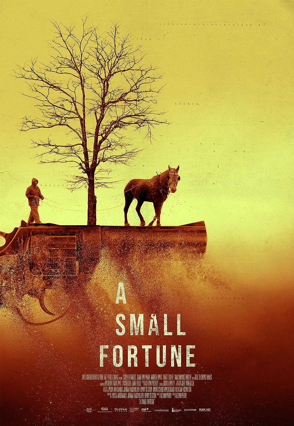 A Small Fortune (2021)