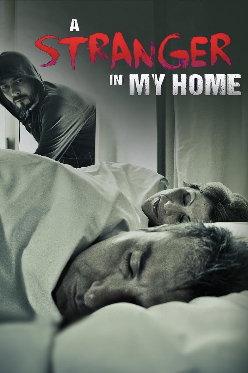 A Stranger in My Home (2013)