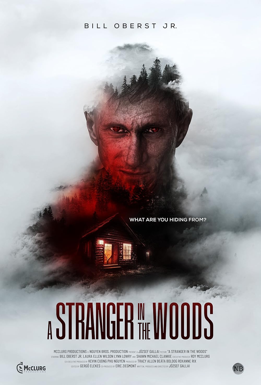 A Stranger in the Woods (2024)