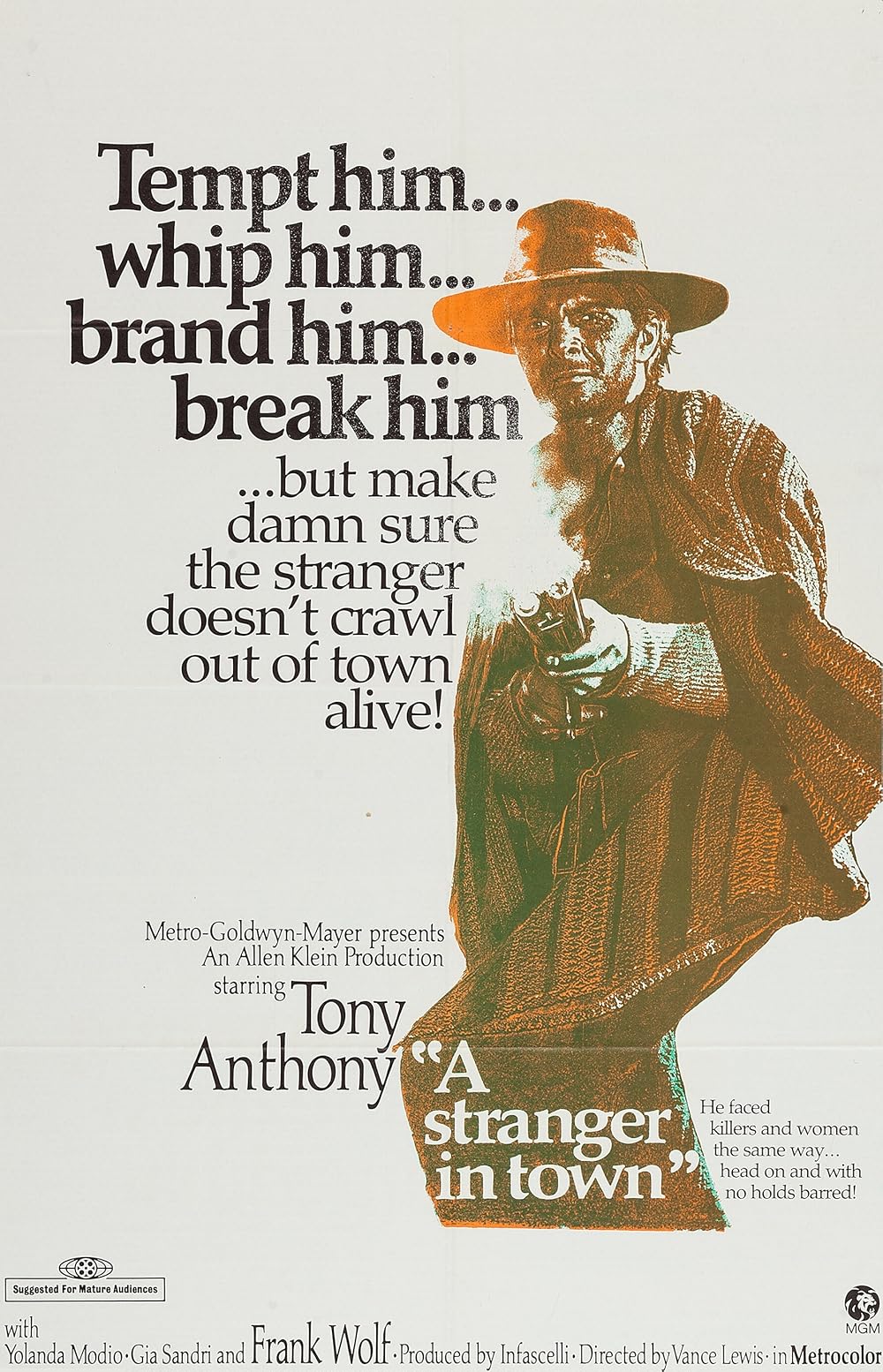 A Stranger in Town (1967)