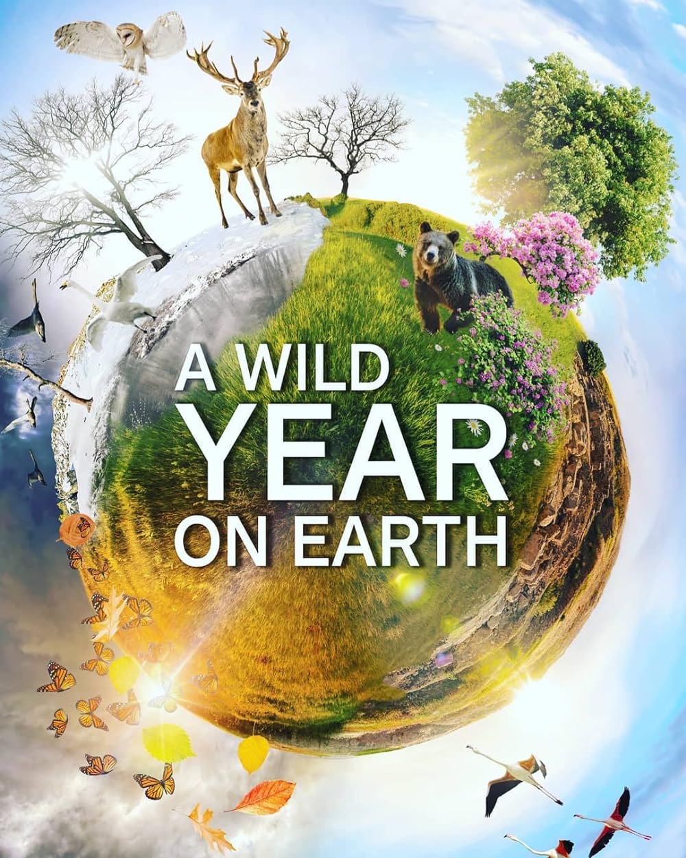 A Wild Year on Earth (2021)