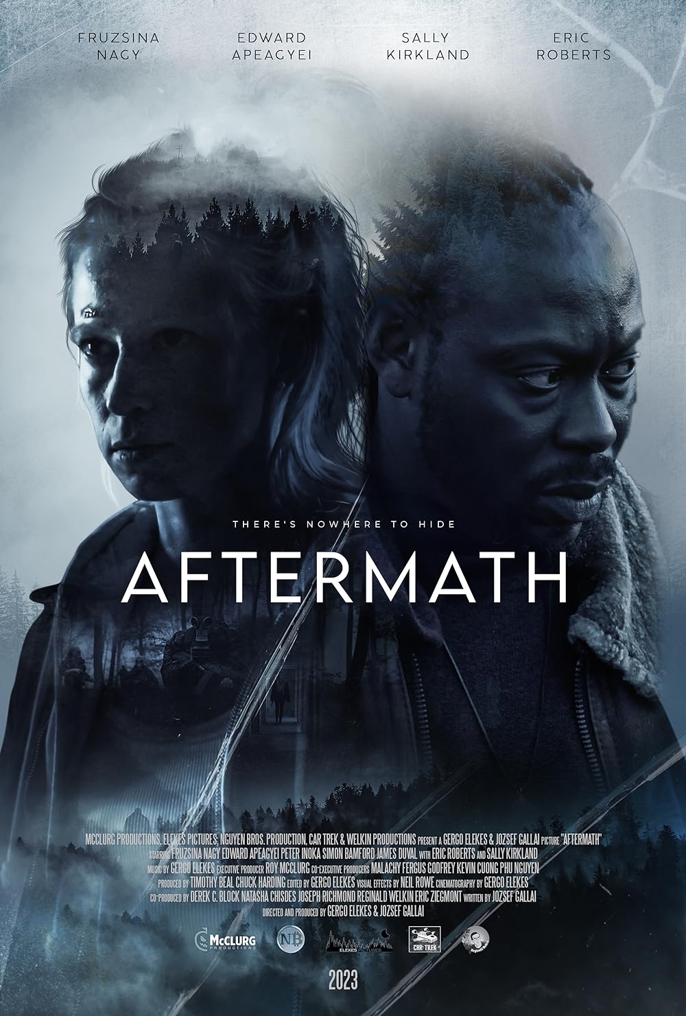 Aftermath (2024)