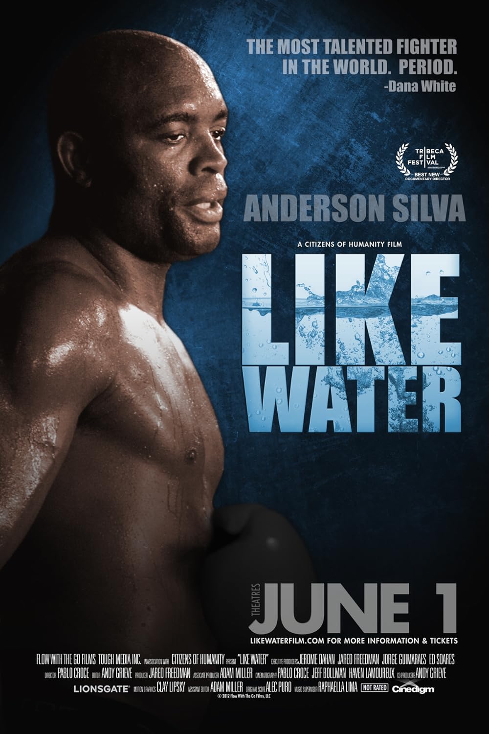 Anderson Silva: Like Water (2011)