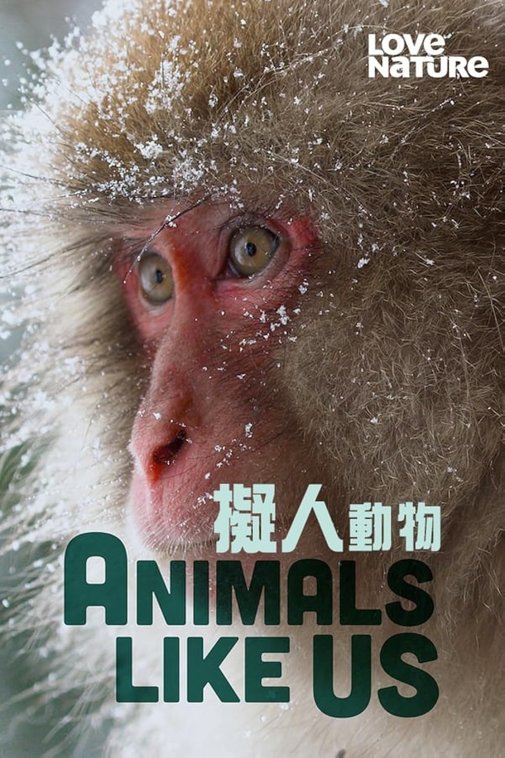 Animals Like Us (2023) 2024