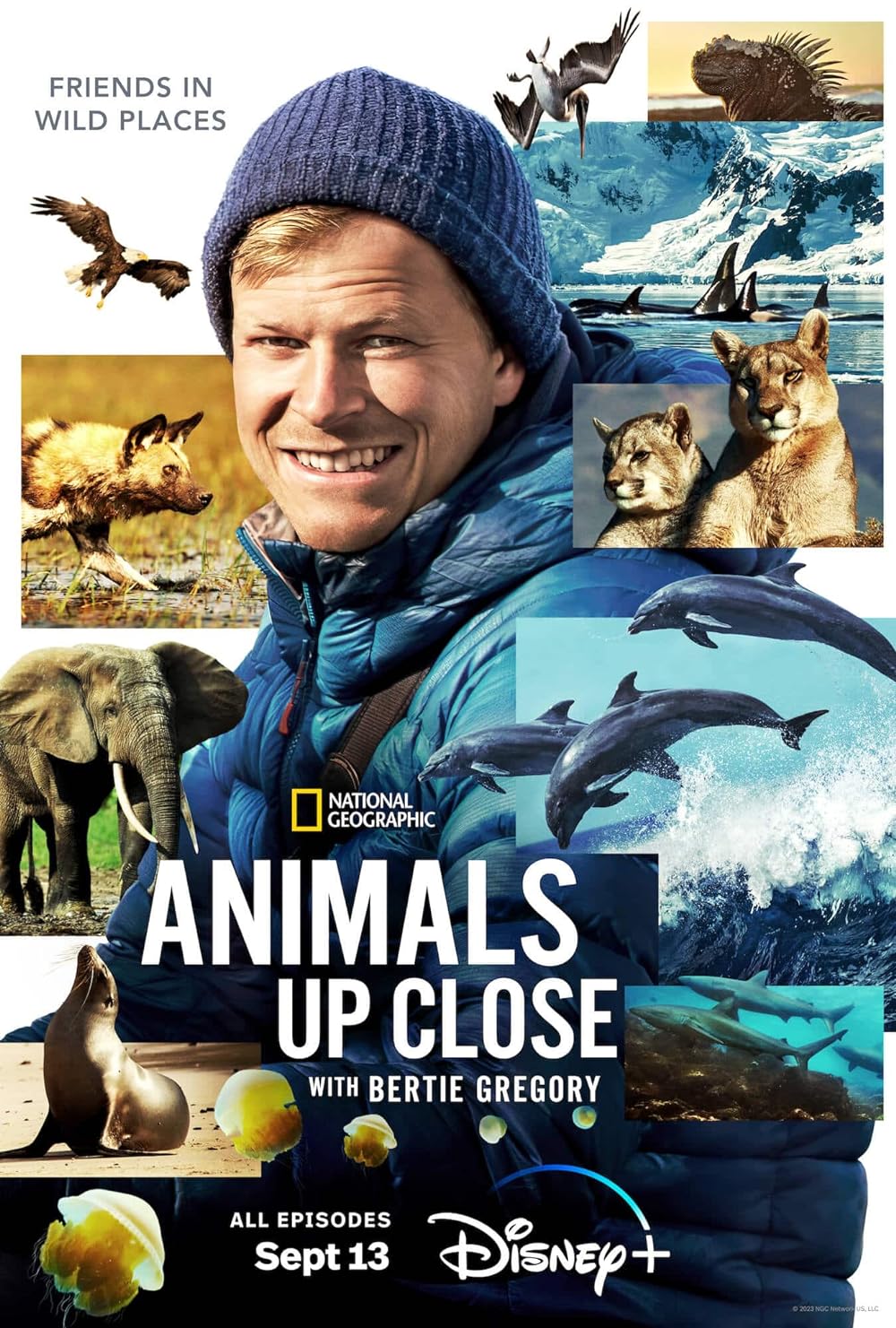 Animals Up Close with Bertie Gregory (2023)