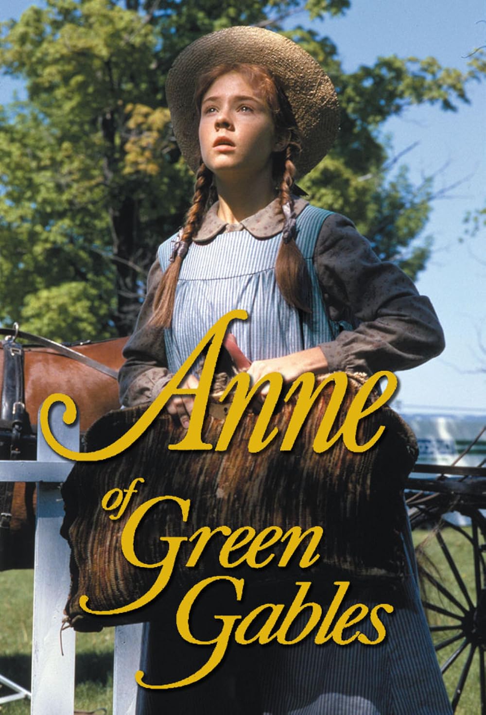 Anne of Green Gables (1986)