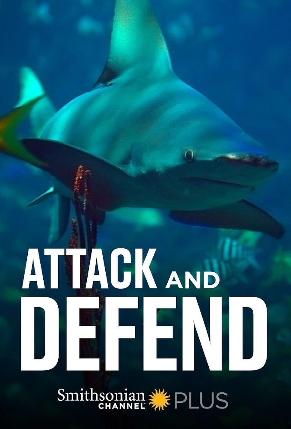 Attack and Defend (2015)