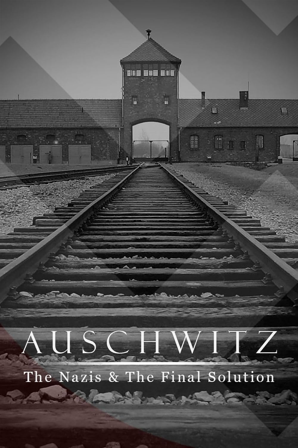 Auschwitz: Inside the Nazi State (2005)