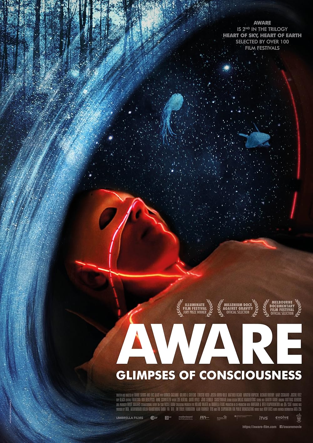 Aware: Glimpses of Consciousness (2021)