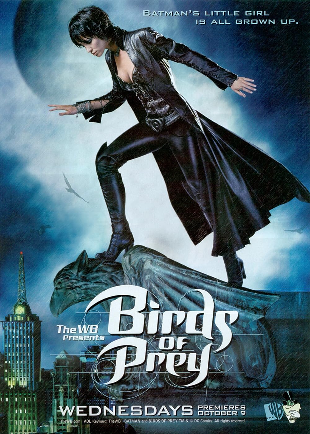 Birds of Prey (2002)