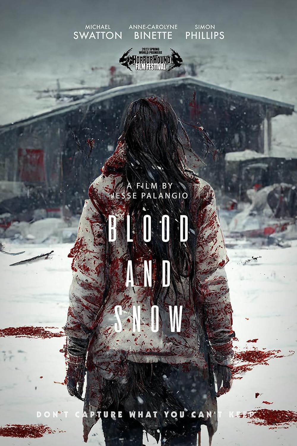 Blood and Snow (2024)