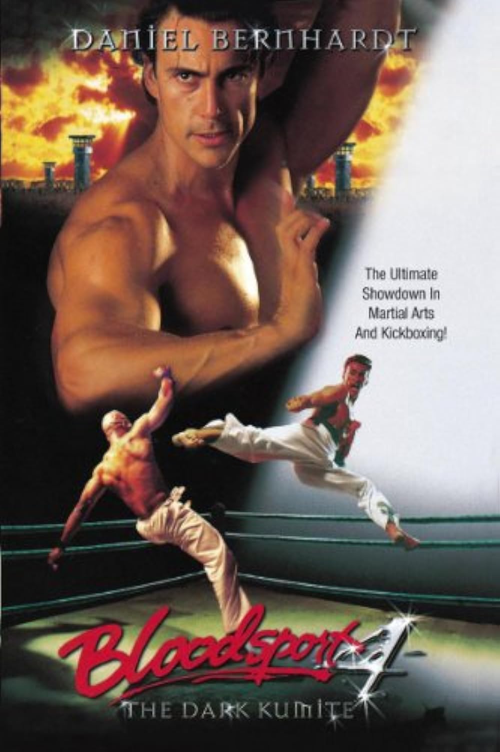 Bloodsport: The Dark Kumite (2003)