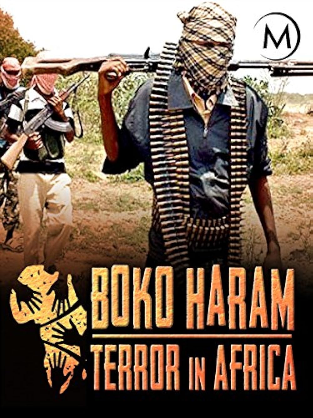 Boko Haram: Terror in Africa (2016)