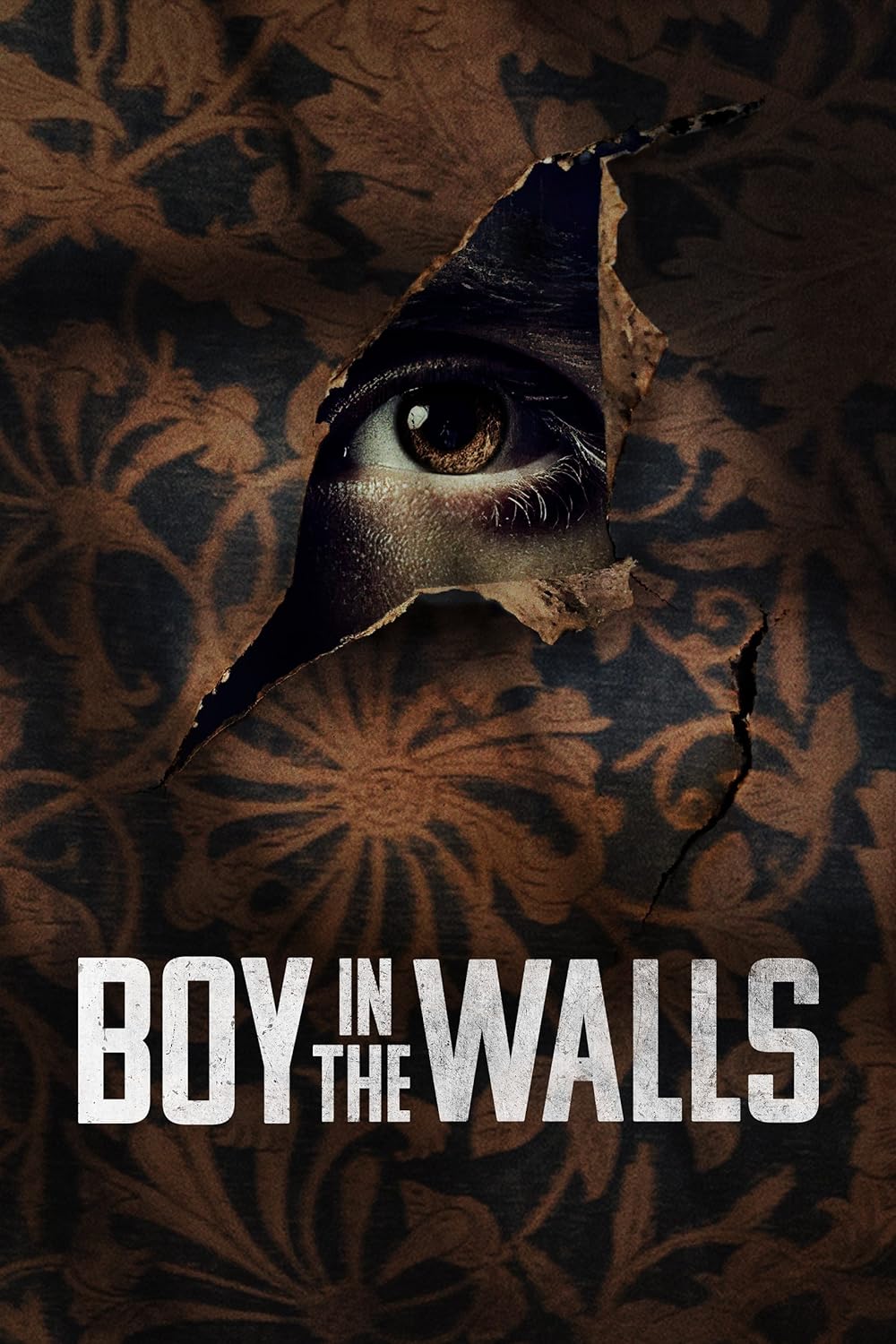 Boy in the Walls (2023)