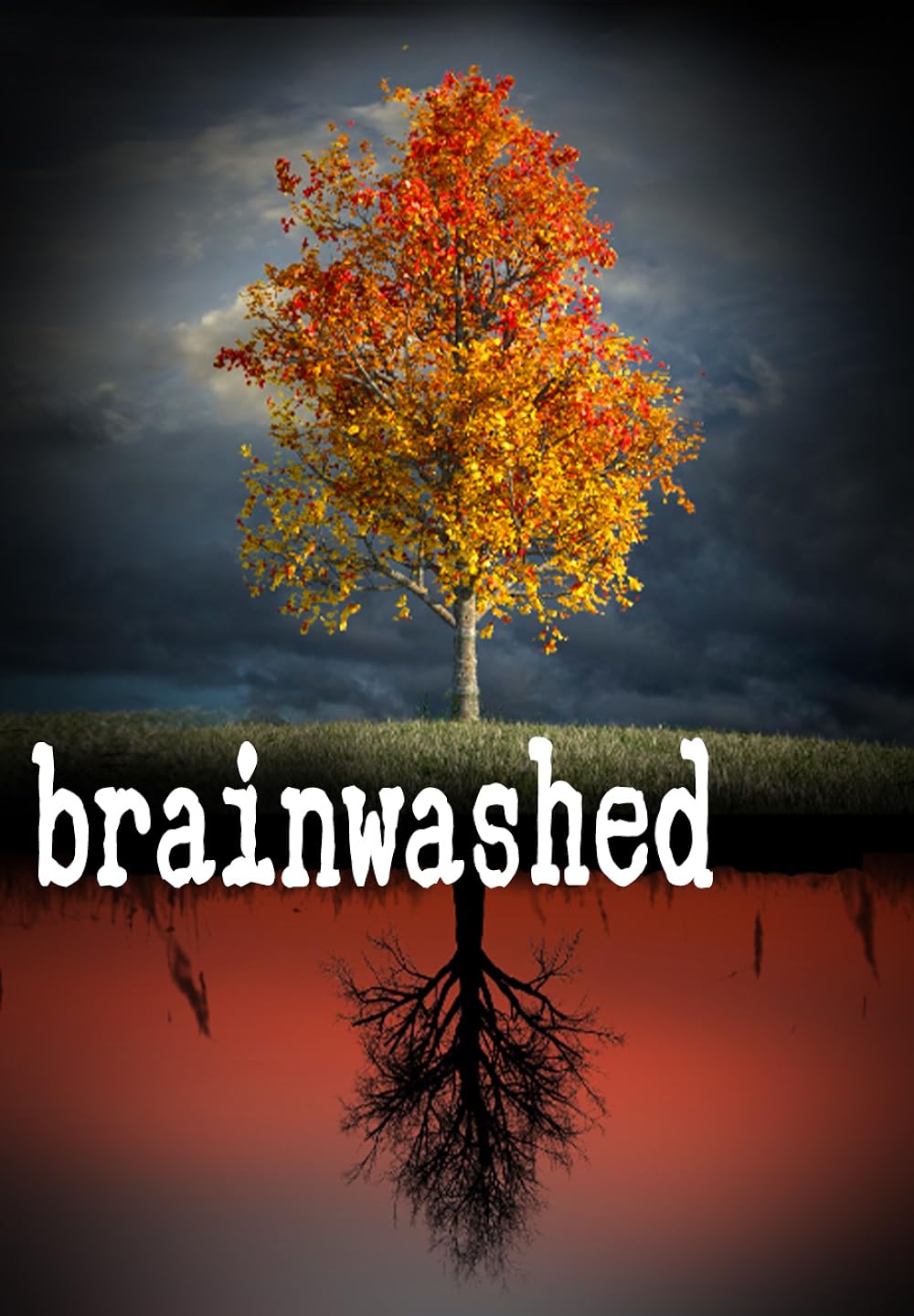 Brainwashed (2023)