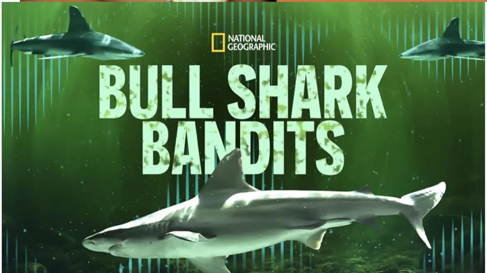 Bull Shark Bandits (2023)