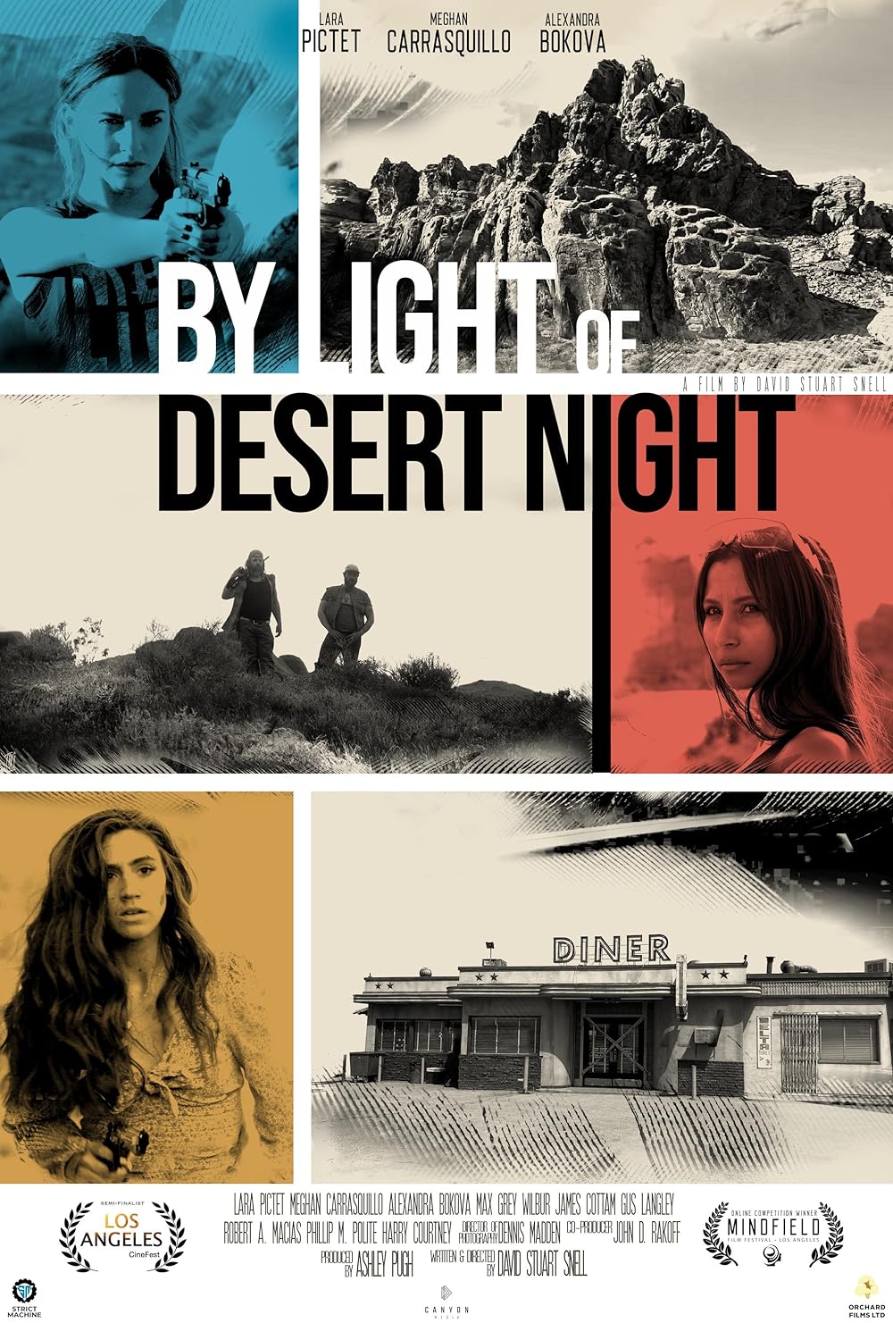 By Light of Desert Night (2020)