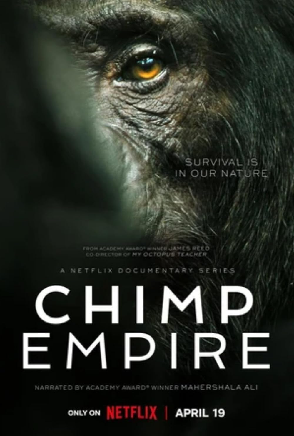 Chimp Empire (2023)