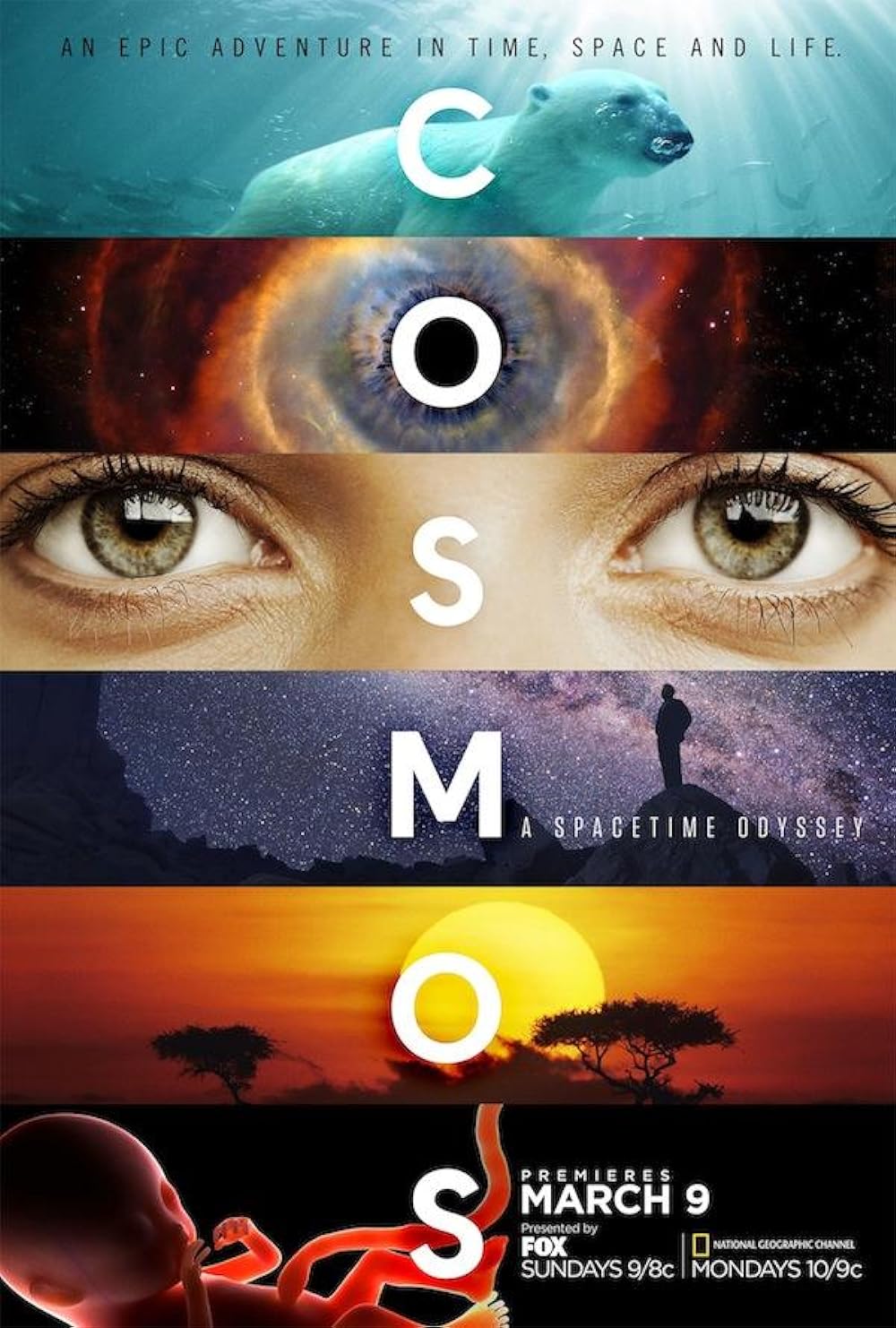 Cosmos: A Spacetime Odyssey (2014)