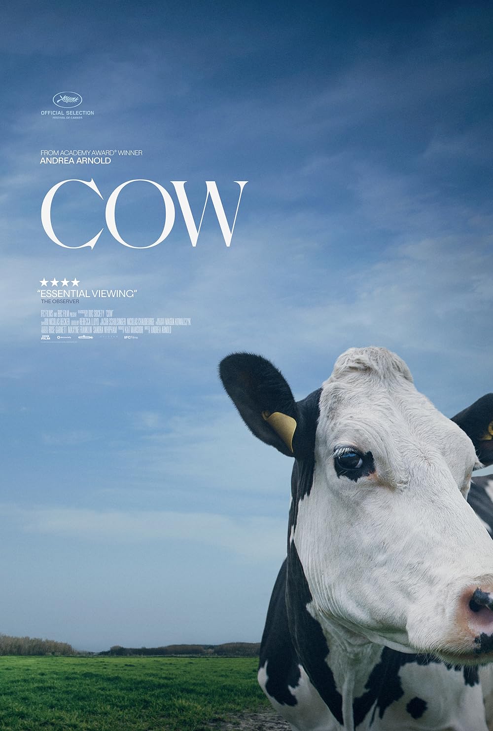 Cow (2022)