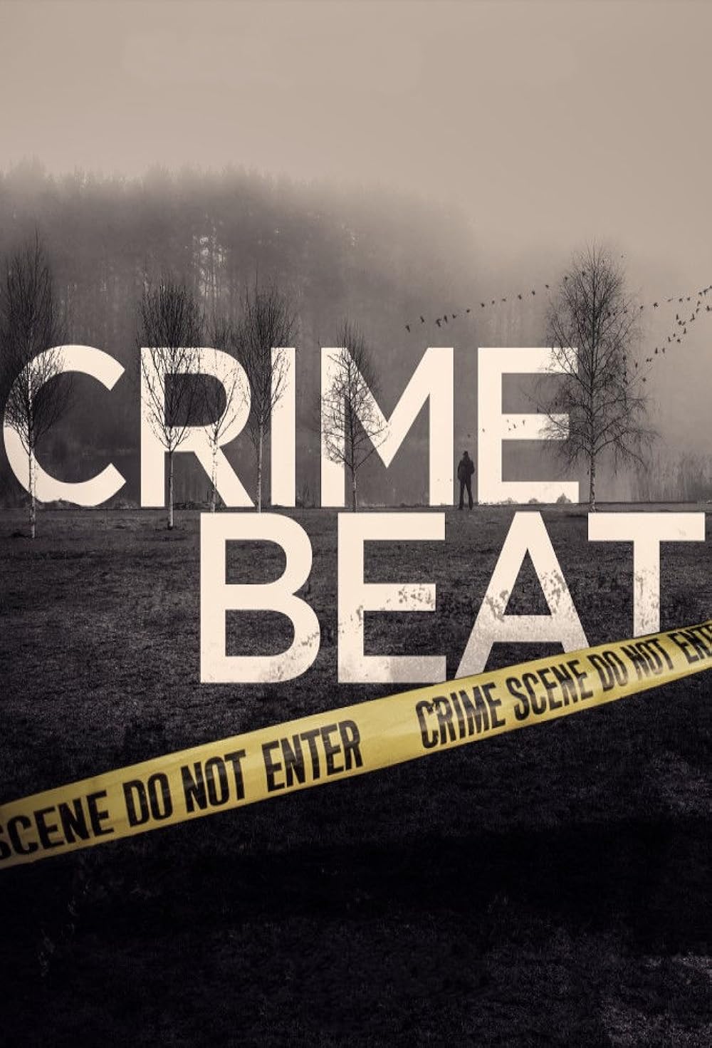 Crime Beat (2020)