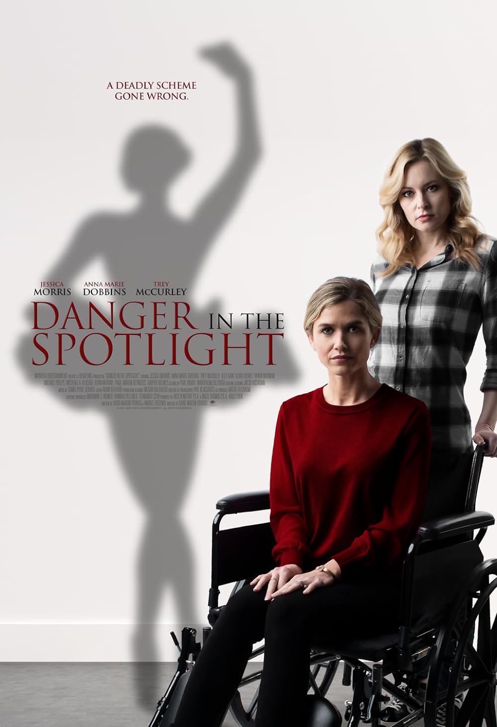 Danger in the Spotlight (2021)