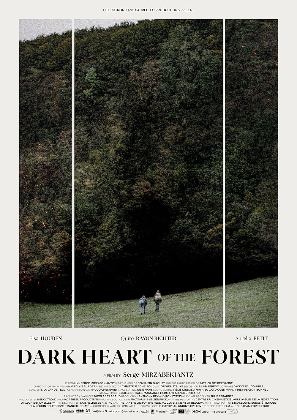 Dark Heart of the Forest (2023)